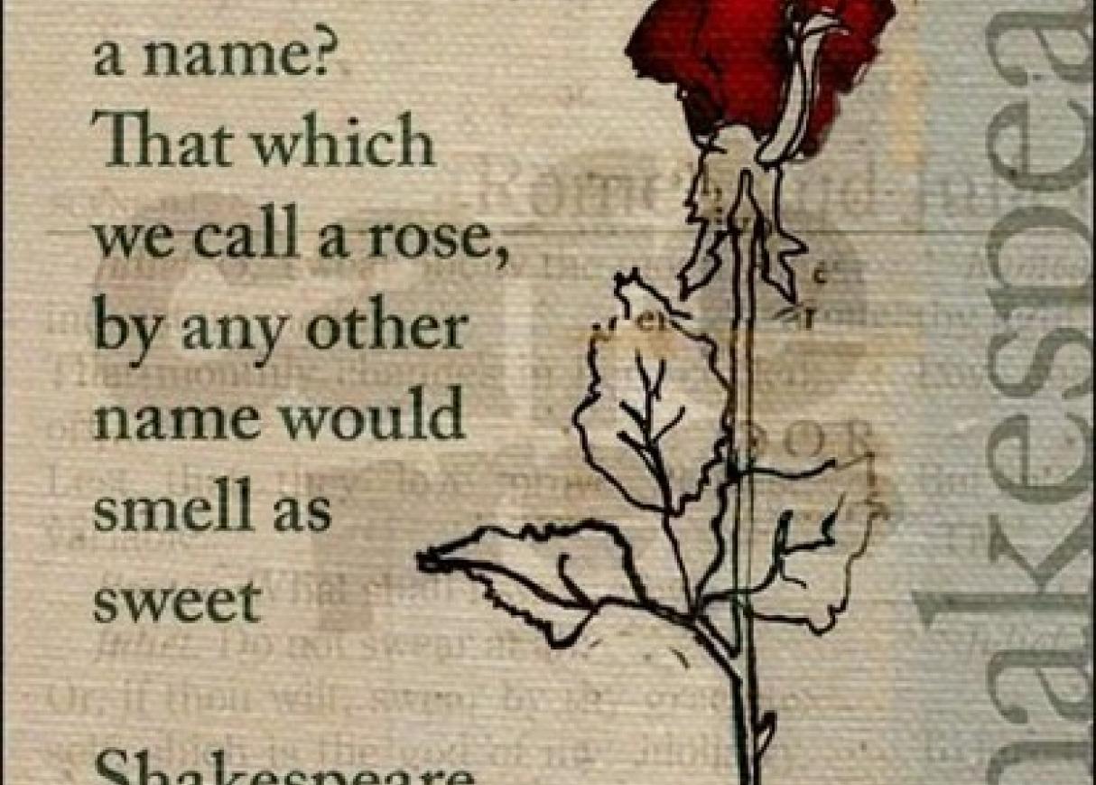 Quote of 'What's in a name?' from Romeo and Juliet, with image of red rose